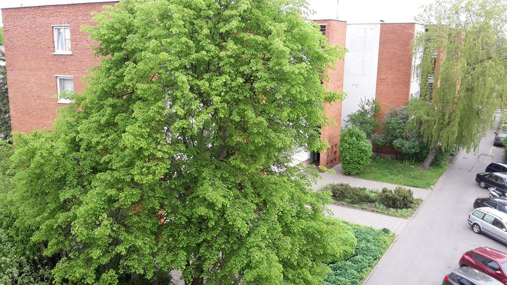 Apartment Amber Sky Połąga Zewnętrze zdjęcie
